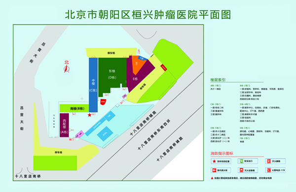 日韩男人用大鸡巴操女人小骚逼爽到喷水动漫淫荡视频北京市朝阳区桓兴肿瘤医院平面图